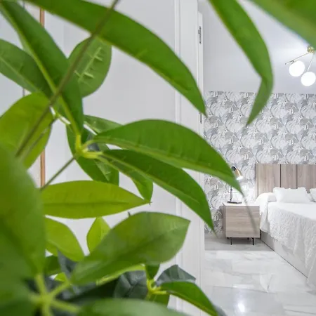 Apartamento La Magnolia De Cadiz Cadis Exterior photo